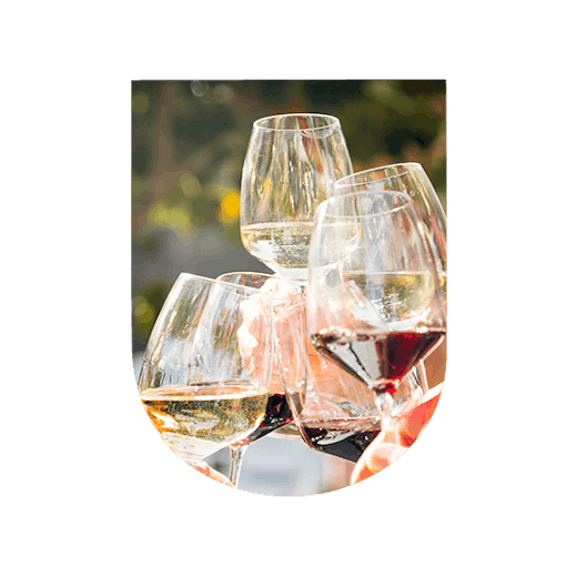 Découvrez les classifications du vin : AOC, IGP, vin de France... Apprenez à comprendre les labels, critères de qualité et les distinctions entre chaque vin.